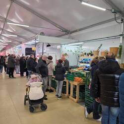 The temporary city market