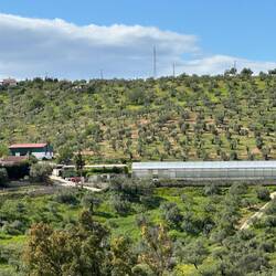 Greenhouse