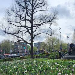 In the Museum gardens