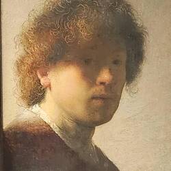 Young Rembrandt Self-Portrait with Dishevelled Hair