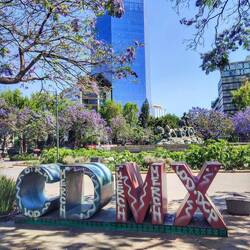 Plaza Villa de Madrid mit Fuente de Cibeles, Roma Norte