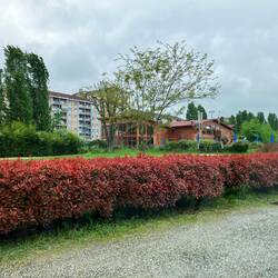 Das Mal kei Seesicht - halt i de Stadt🏭🏢