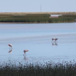 Altiplano, bei Oruno