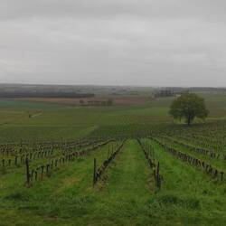 Vue depuis notre hébergement de ce soir!