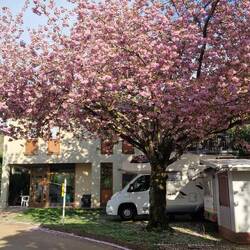 Schön hier! 👍🏼