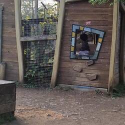 Für die Kinder: Ein Käfig im Käfig. 😊