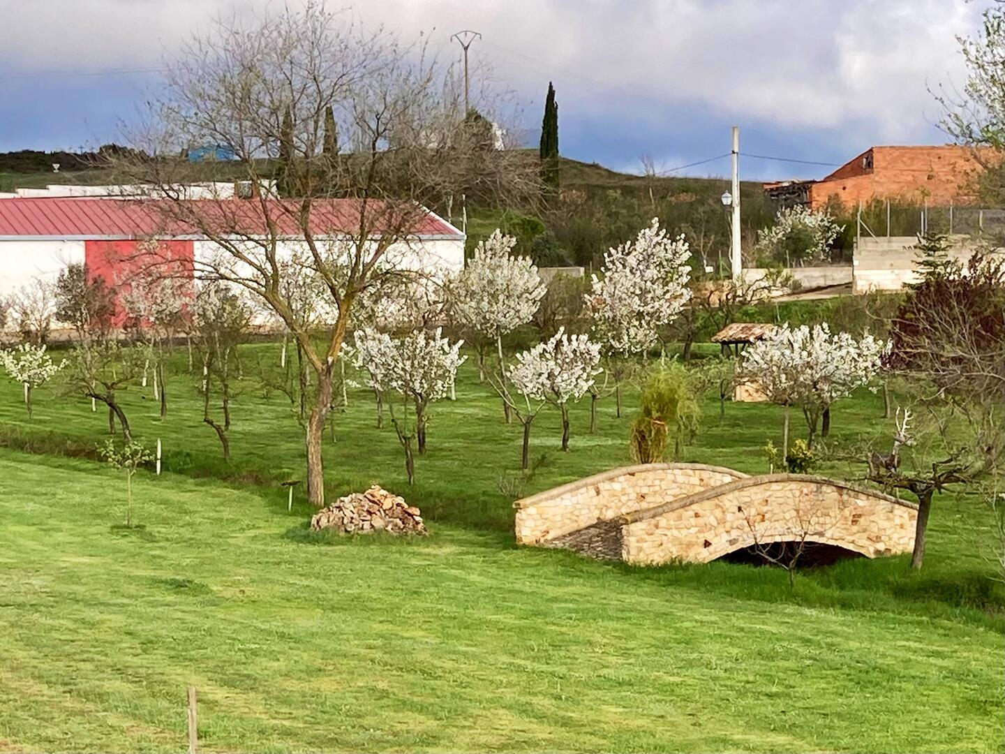 Schöner Privatgarten an der Strasse