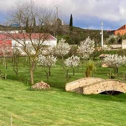 Schöner Privatgarten an der Strasse