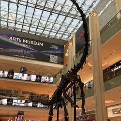 Mit Dino Skeletten aus den Staaten