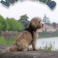 Is it so bad with me that she considers to jump?:0