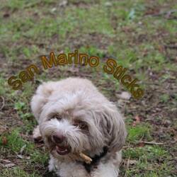 Finally some downtime in San Marino