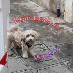 The Passenger Princess doesn't want to walk in the rain anymore