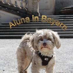 At Linderhof in Bavaria