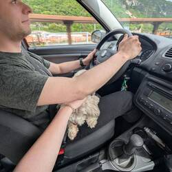 Passenger Princess (aka PP)