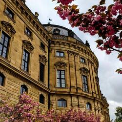 Sakura Love 💕🌸💕