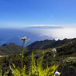 Im Hintergrund: La Gomera
