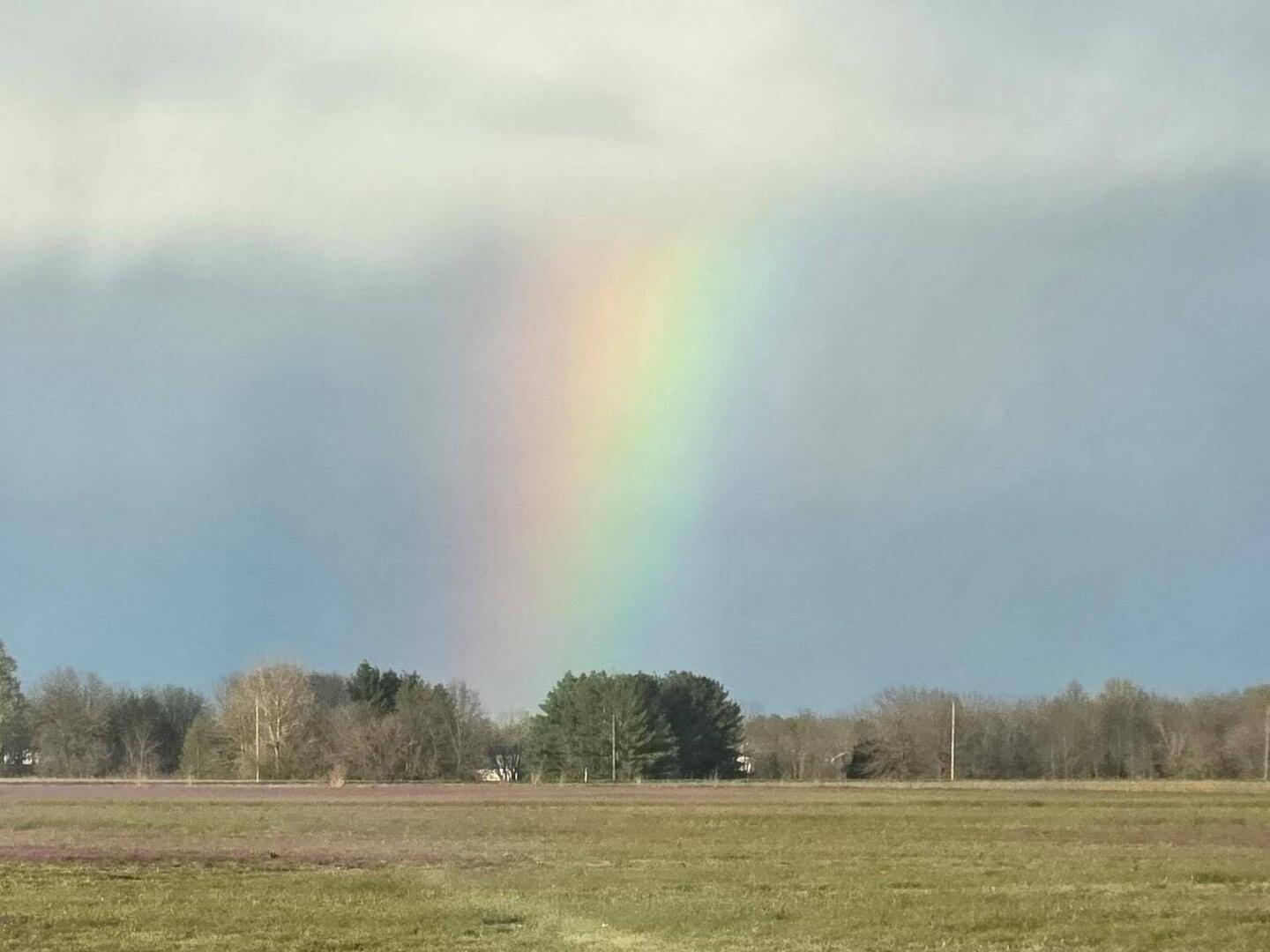 Always Sunny in Southern Illinois!