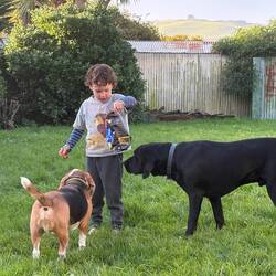 All disappointed there are no chips left