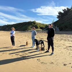 Watching the surfing action