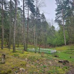 Mitten im Wald ein Friedhof