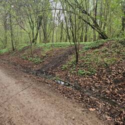 Hier spuckte uns der Wald wieder auf den richtigen Weg!