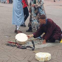 Darf man eigentlich nicht fotografieren