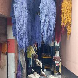 Bei den Wollfärbern