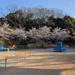 Aire de jeux sous les cerisiers