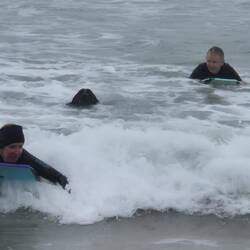 Beau just needed a board of his own