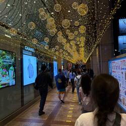 Pretty street outside the mall we got food in