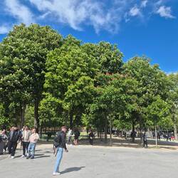 Soo herrliche Kastanien