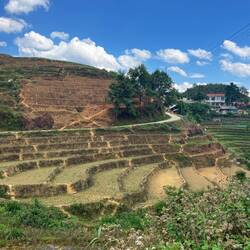 Terrasses en attente des plants de riz