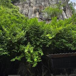 der Fubo-Berg ist nicht sehr hoch