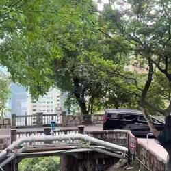 Peak Train - which we did not catch as the wait time was hours!