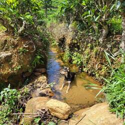 Unser treuer Begleiter Wuffi brauchte auch dringend eine Abkühlung