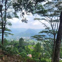 Geschafft! Kandy, das Ziel unserer Wanderung, kommt in Sicht