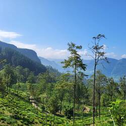 Unsere Freunde die Serpentinen