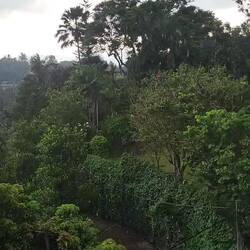 Der obligatorische Regenschauer am Nachmittag