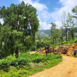 Die rote Erde war immer für einen guten Kontrast zu haben