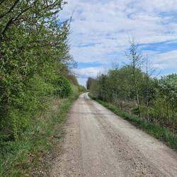 Ewig langer Radweg...