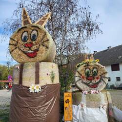 Zurück am Reiterhof.