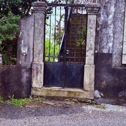 I want wrought iron gates leading to my backyard