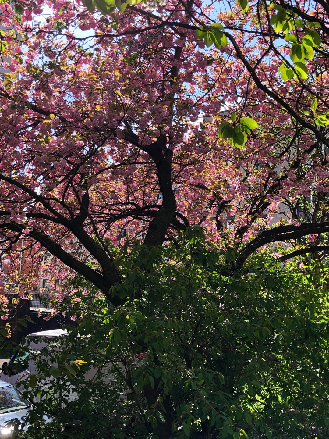 A local asked us if we brought the sunshine with us!