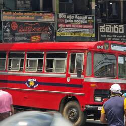 The dodgy buses