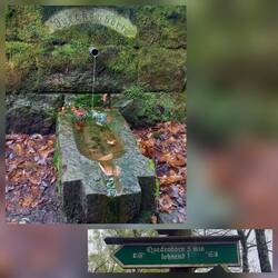 Kleine Quelle mitten im Wald