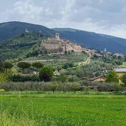 Assisi. Die Fahrt da rauf hat mir das erste Eis verdient.