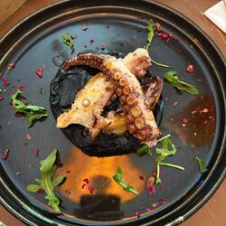 Gerösteter Oktopus auf schwarzem Kartoffelpüree