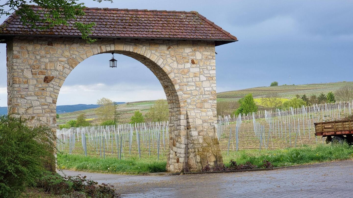 Tor bei der Ankunft
