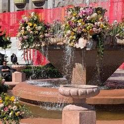 Der blumenumrankte Brunnen auf der Piata Unirii