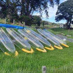 Sad sight! Our trusty kayak out of action due to sea swell